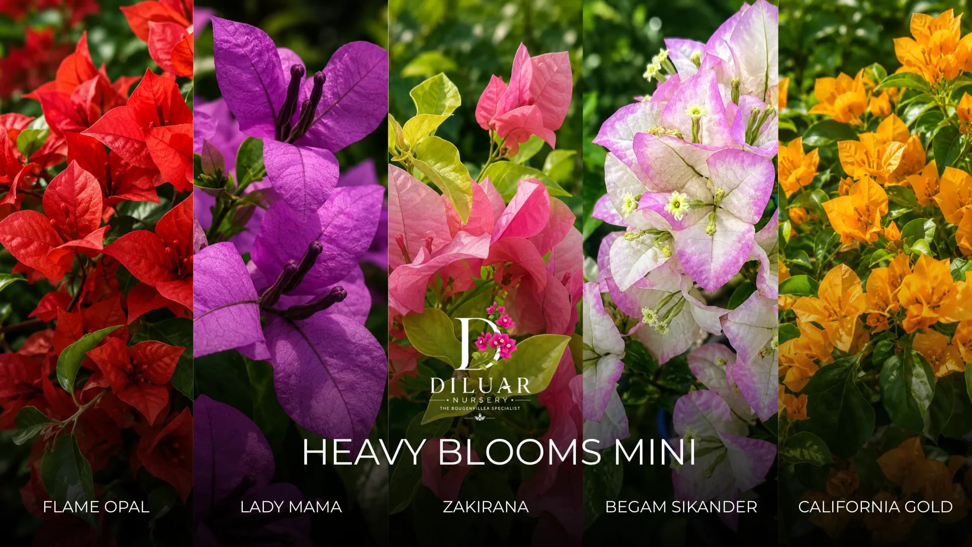 Heavy Blooms Mini