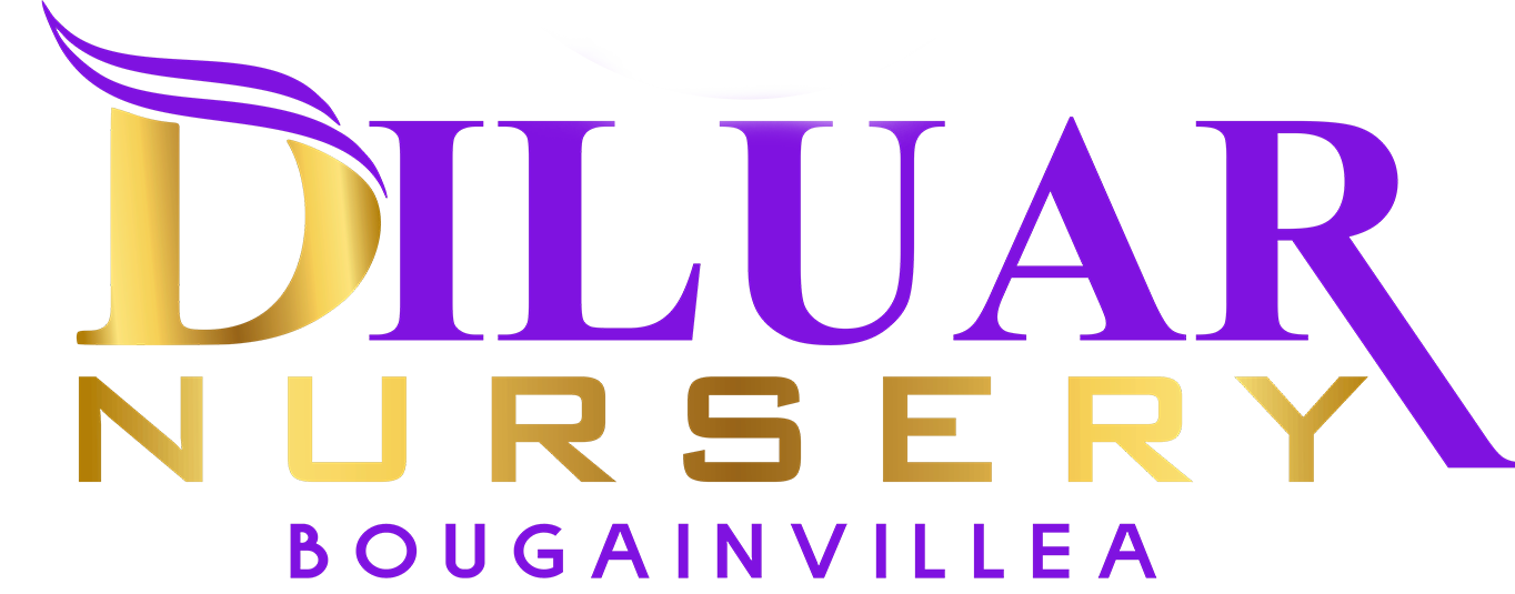 Diluar Nursery